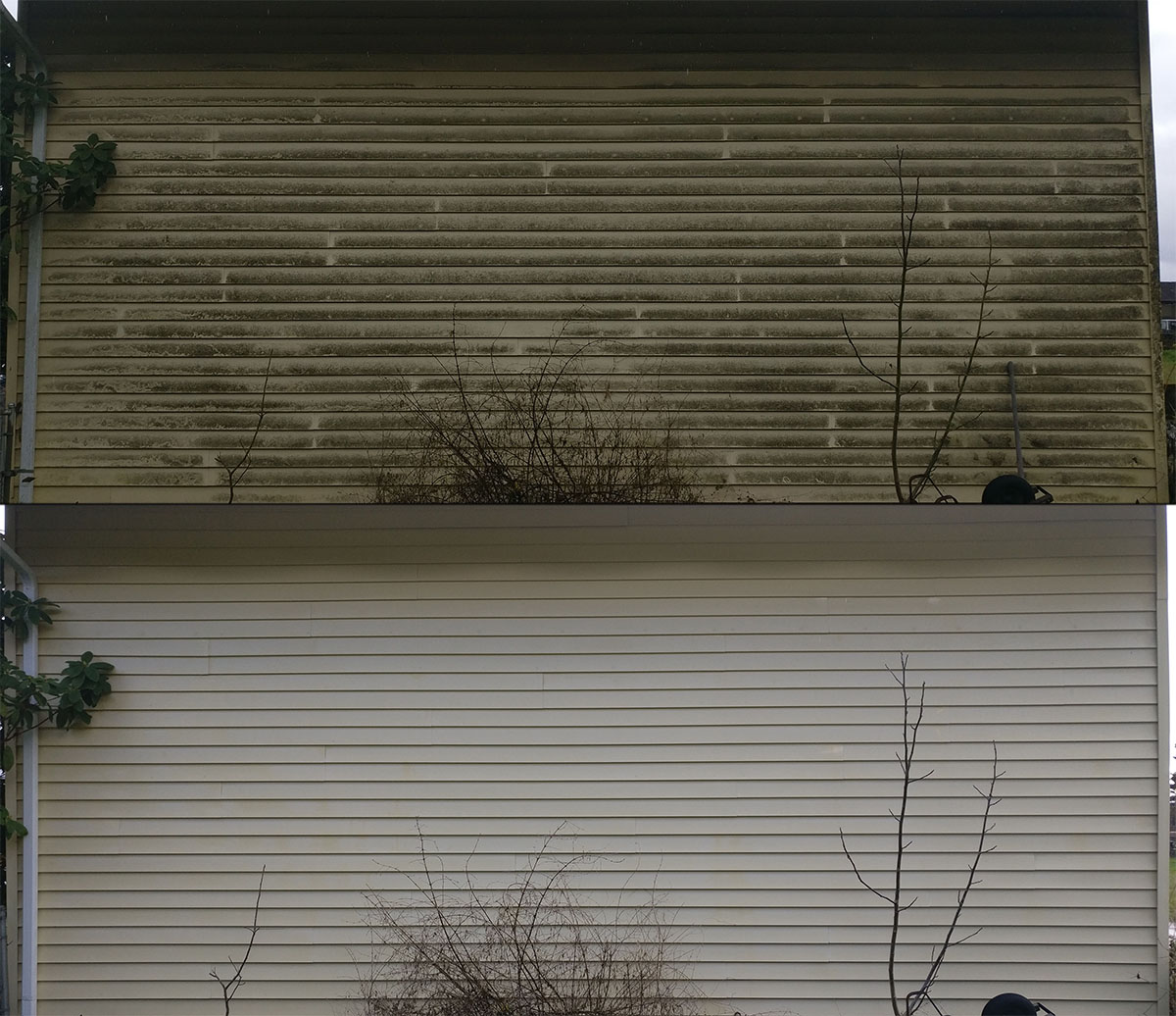 House washing siding