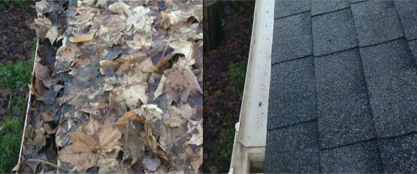 gutter cleaning