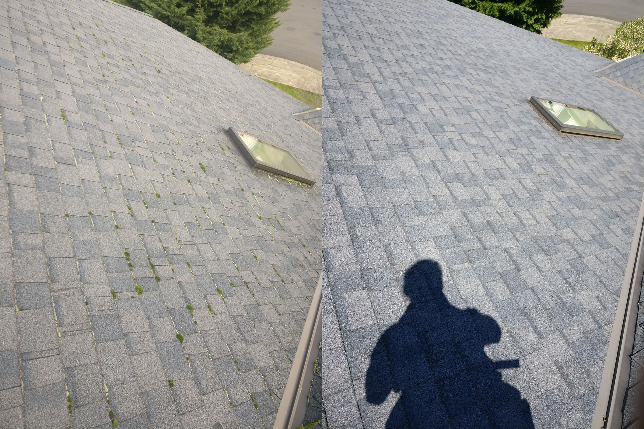 Roof cleaning service gallery