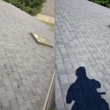 Roof cleaning service gallery